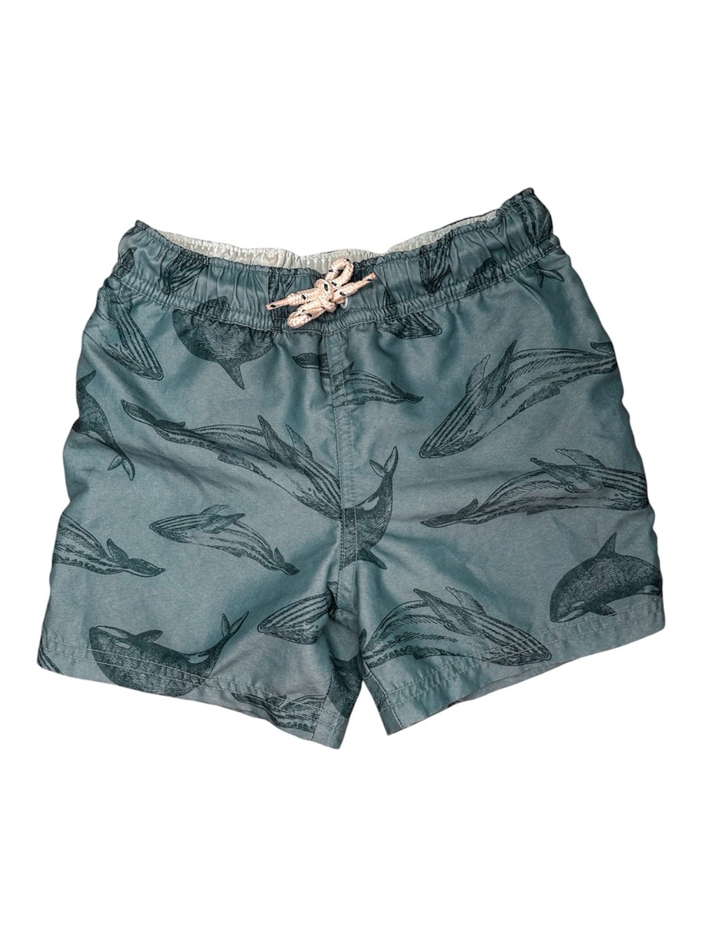Little Planet by Carter’s Whale Swim Trunks